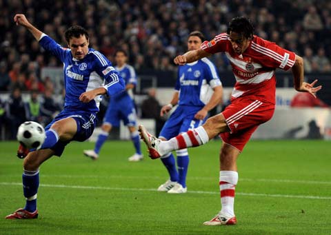 稳定性的基 稳定性的基